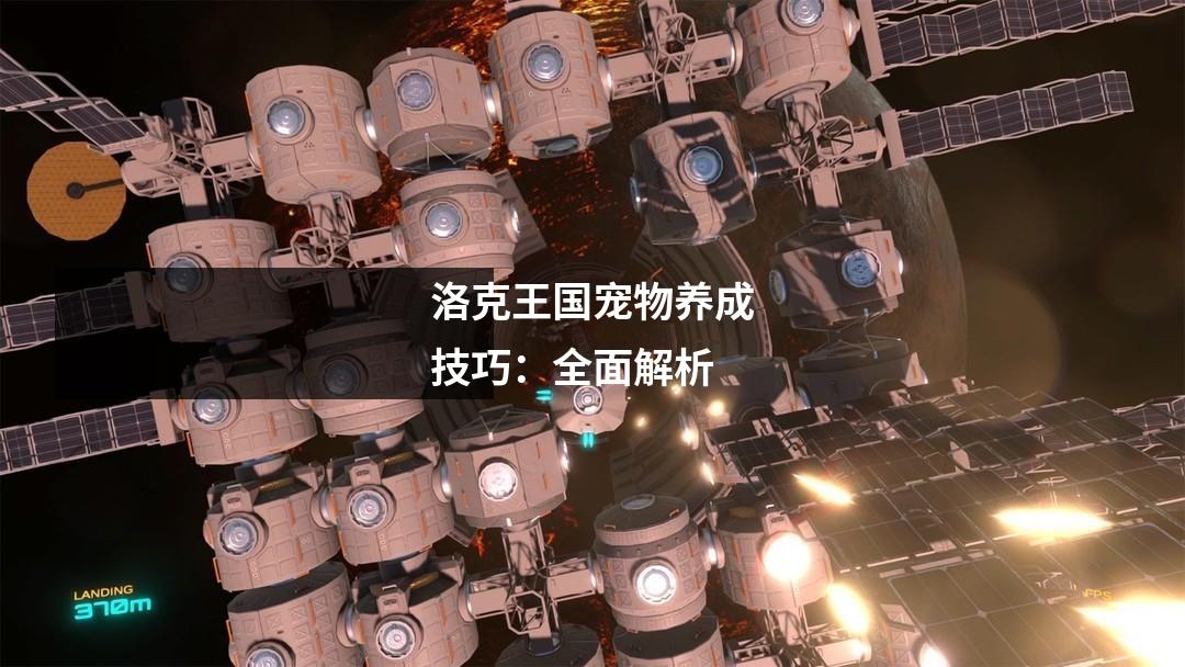 洛克王国宠物养成技巧：全面解析