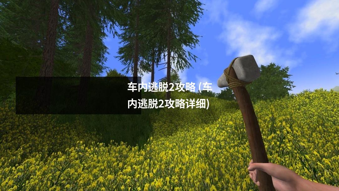 车内逃脱2攻略 (车内逃脱2攻略详细)